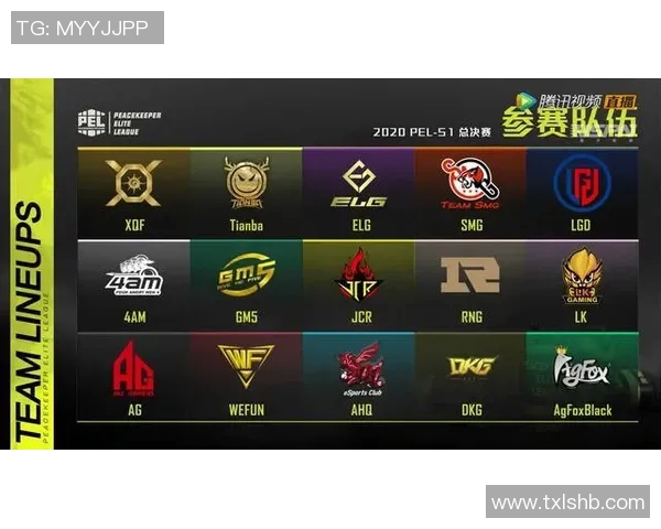 esports数据和平精英战术分析IG快攻策略与战场表现的深度解读